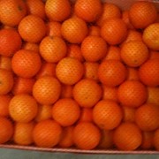Апельсины. Касабланка. Марокко