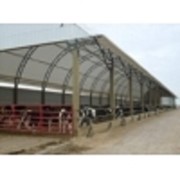 Быстро-возводимая животноводческая ферма, легко-разборный ангар для сельхозпродукции, лёгкий склад фото
