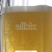 Пиво безалкогольное фотография