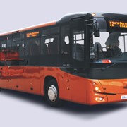 Междугородний автобус МАЗ-231 фото