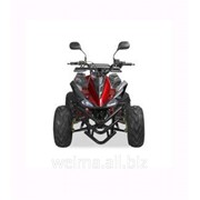 Квадроцикл ATV 125 - Sport (for kids) JinLing