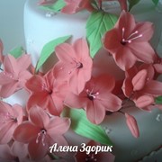 Украшение на торты “Сахарные цветы“ фотография