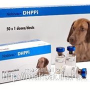 Вакцина Нобивак DHPPi 10 х 1D