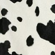 Искусственный мех Zoo Cow фото