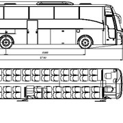 Автобус туристический НЕФАЗ-52999-0000010 фото
