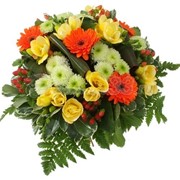 Утренний блюз фото