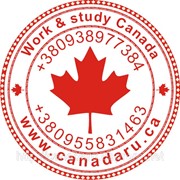 Work & Study Canada