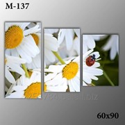 Картина модульная М-137, размер 60х90 фото