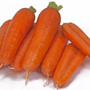 Семена моркови Тангерина F1 | Tangerina фотография