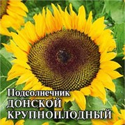 Подсолнечник Донской крупноплодный, б/п, 5 гр, Гавриш