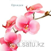 Видео Урок № 9 Орхидея фото