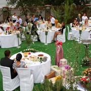 Организация и проведение свадеб и юбилейных торжеств фотография