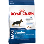 Maxi Junior Royal Canin корм для щенков, До 15 месяцев, Пакет, 16,0кг фотография