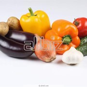 Семена овощей фотография