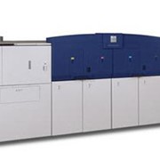 Xerox 490/980 Color Continuous Feed фото