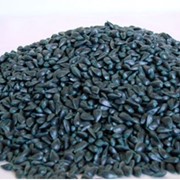 Прайс на семена подсолнечника гибридов одесской селекции фото