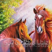 Картина по номерам Красивые кони фото