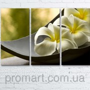 Модульна картина на полотні Біла квітка в чаші код КМ6090-101 фотография