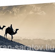 Картина на холсте 33х70 л363 фото