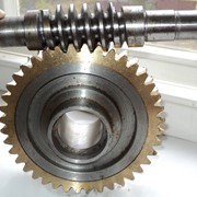 Червячная пара редуктора привода фото