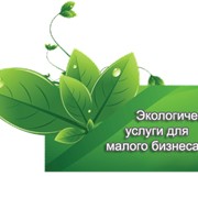 Услуги в сфере экологии (Министерство экологии и природных ресурсов Украины) фото