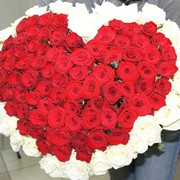 101 роза с красным сердцем фотография
