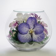 Орхидея в стекле BM-o1 фото