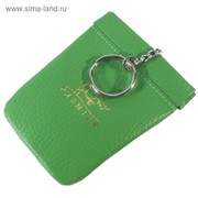 Футляр для ключей, цвет зелёный фотография