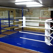 Ринг боксерский напольный фото