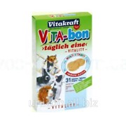 Добавка витаминно-минеральная для грызунов Vitakraft VITA-BON Rodents (Витакрафт) 31 таб фото