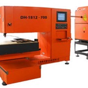 Профессиональная лазерная установока для обработки металлов и других материалов DH-1212 / 1812 / 2512 фотография