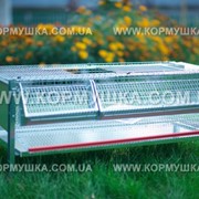 Клетка для перепелов (на 30 голов) фото