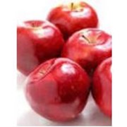 Яблоки натуральные красные. ФХ Малина М.К фотография