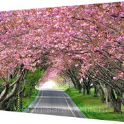 Картина на холсте 108*68 Ф25 фото