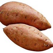 Картофель сладкий Батат (сетка) фото