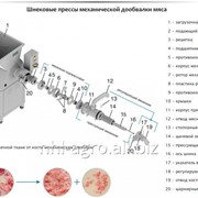 Шнековые прессы механической дообвалки