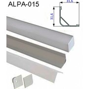 Заглушка пластиковая для профиля Alpa-015 LAS21-EC