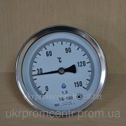 Термометр биметаллический ТБ-100 фотография