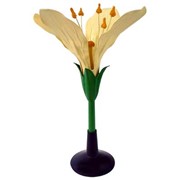 Модель объемная «Цветок капусты» фото