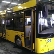 Автобус МАЗ 206068 в северном исполнении фото