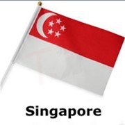Контейнерные перевозки из Сингапура фото