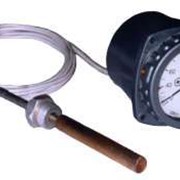 Термометр манометрический