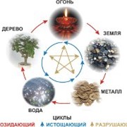 У-СИН диагностика здоровья фото