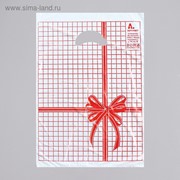Пакет “Красная клетка“, полиэтиленовый с вырубной ручкой, 22 х 30 см, 12 мкм фотография