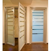 Стеклянные интерьерные двери в алюмин. обвязке  фото