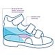 Сандалеты ортопедические TW-131 малосложные (с открытым носком) темно-синие фото