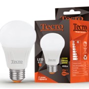Светодиодная лампа Tecro PRO-A60-11W-3K-E27 фото