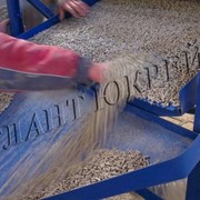 Оборудование для производства древесных гранул (pellets)