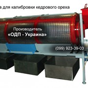 Установка для калибровки кедрового ореха барабанного типа фотография