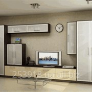 Мебель для гостиной комнаты (12) фото